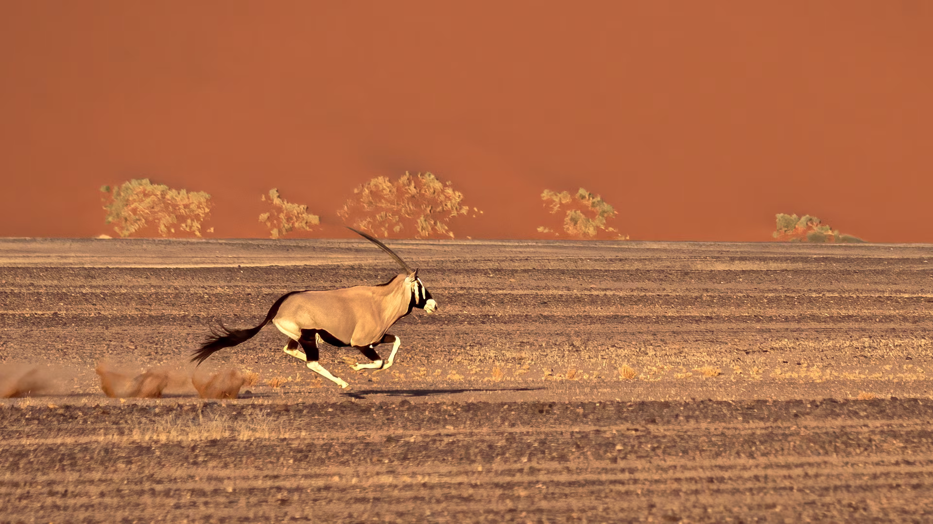 Authentic Namibia